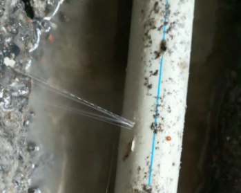利辛卫生间测漏水多少钱